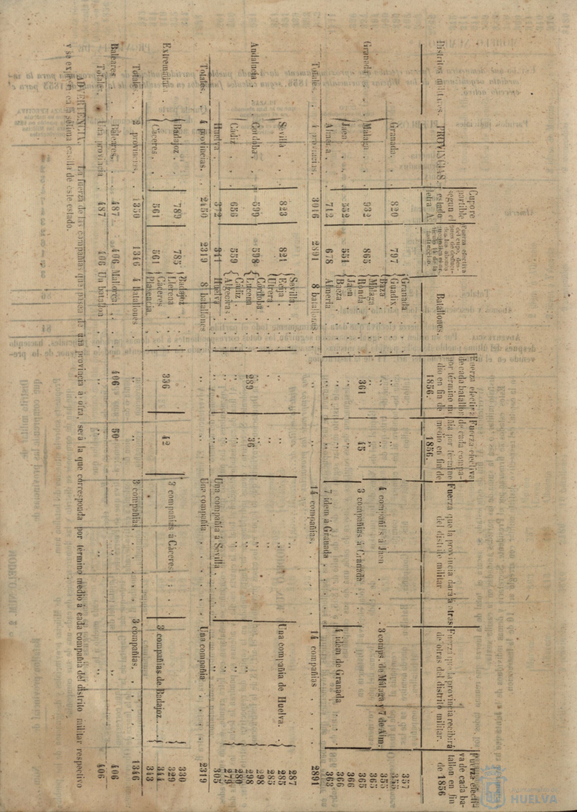 * Image 338