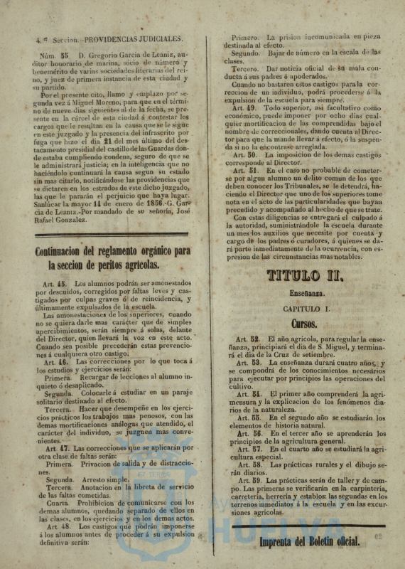 * Image 41
