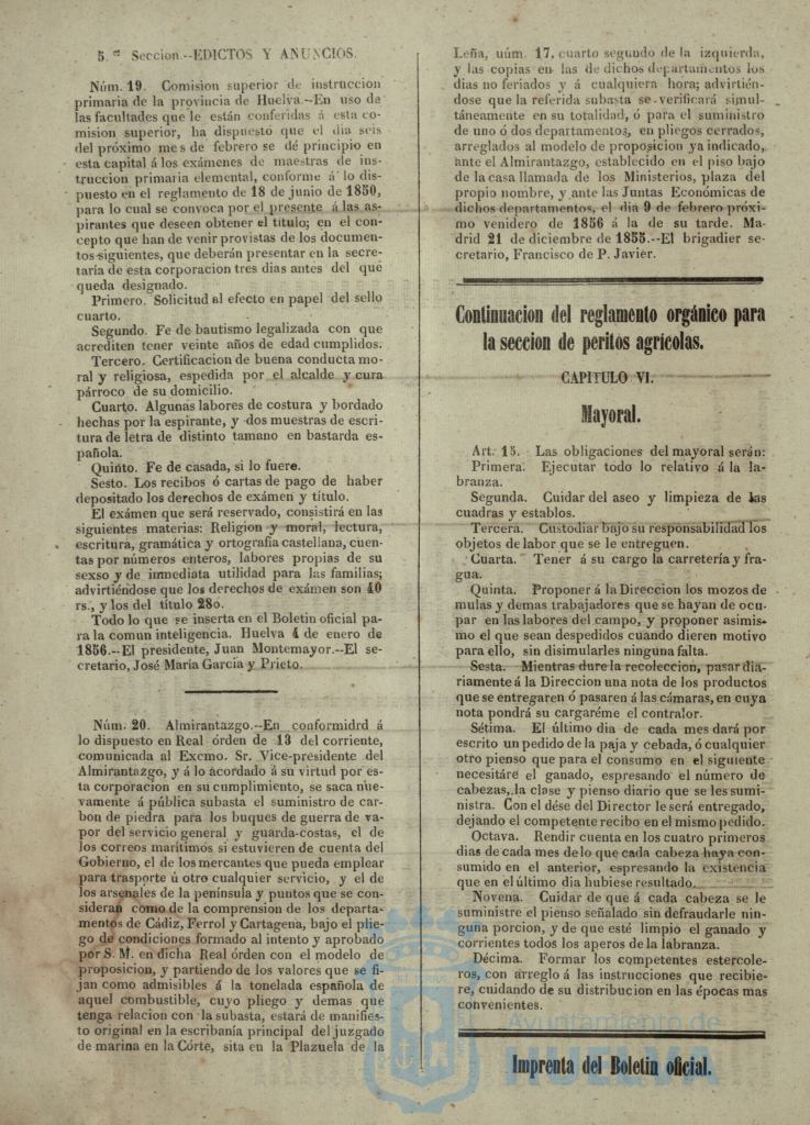 * Image 12