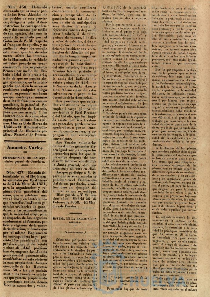 * Image 116