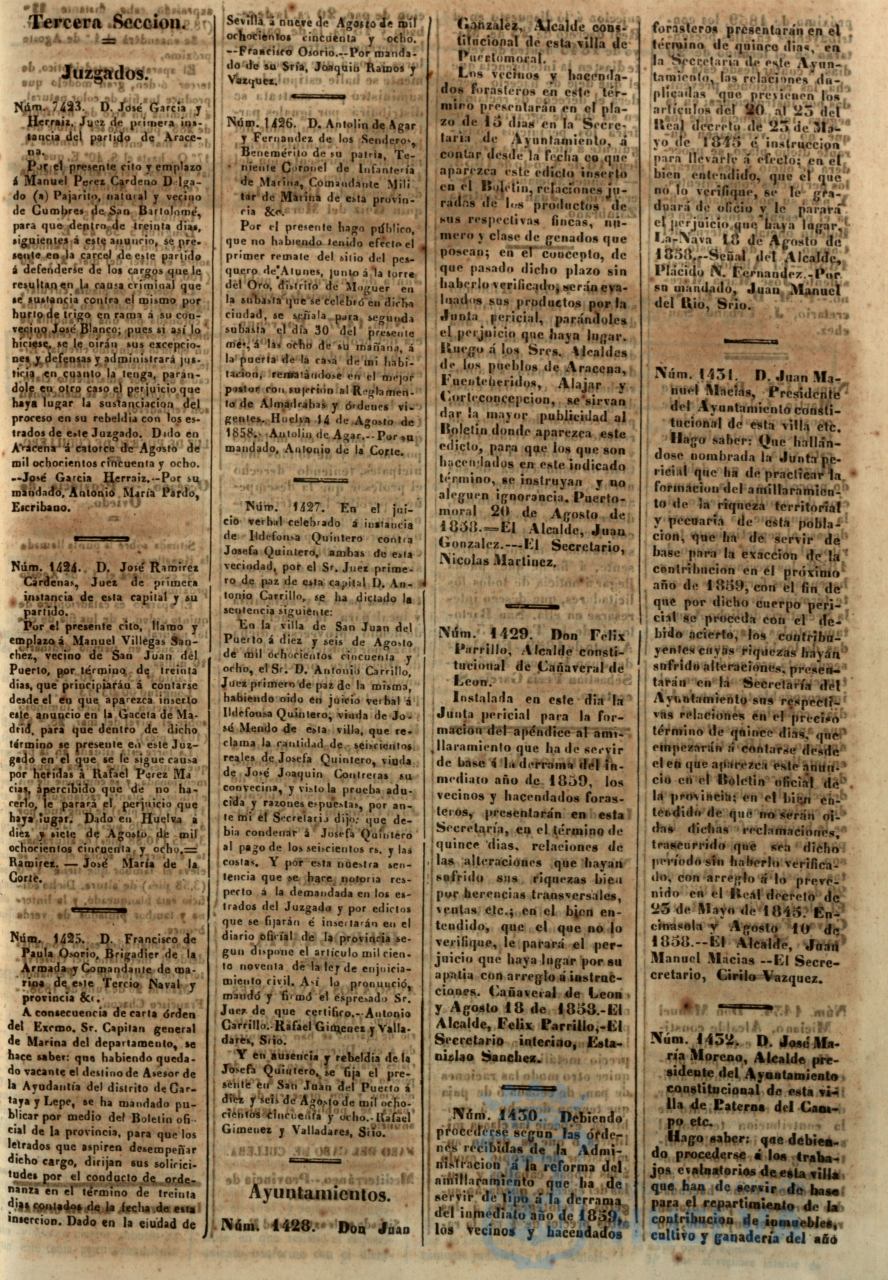 * Image 415