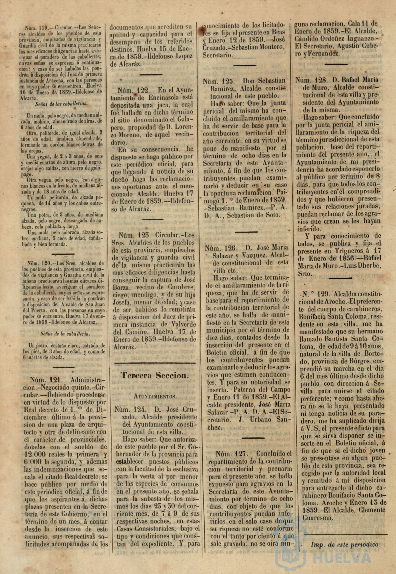 * Image 31