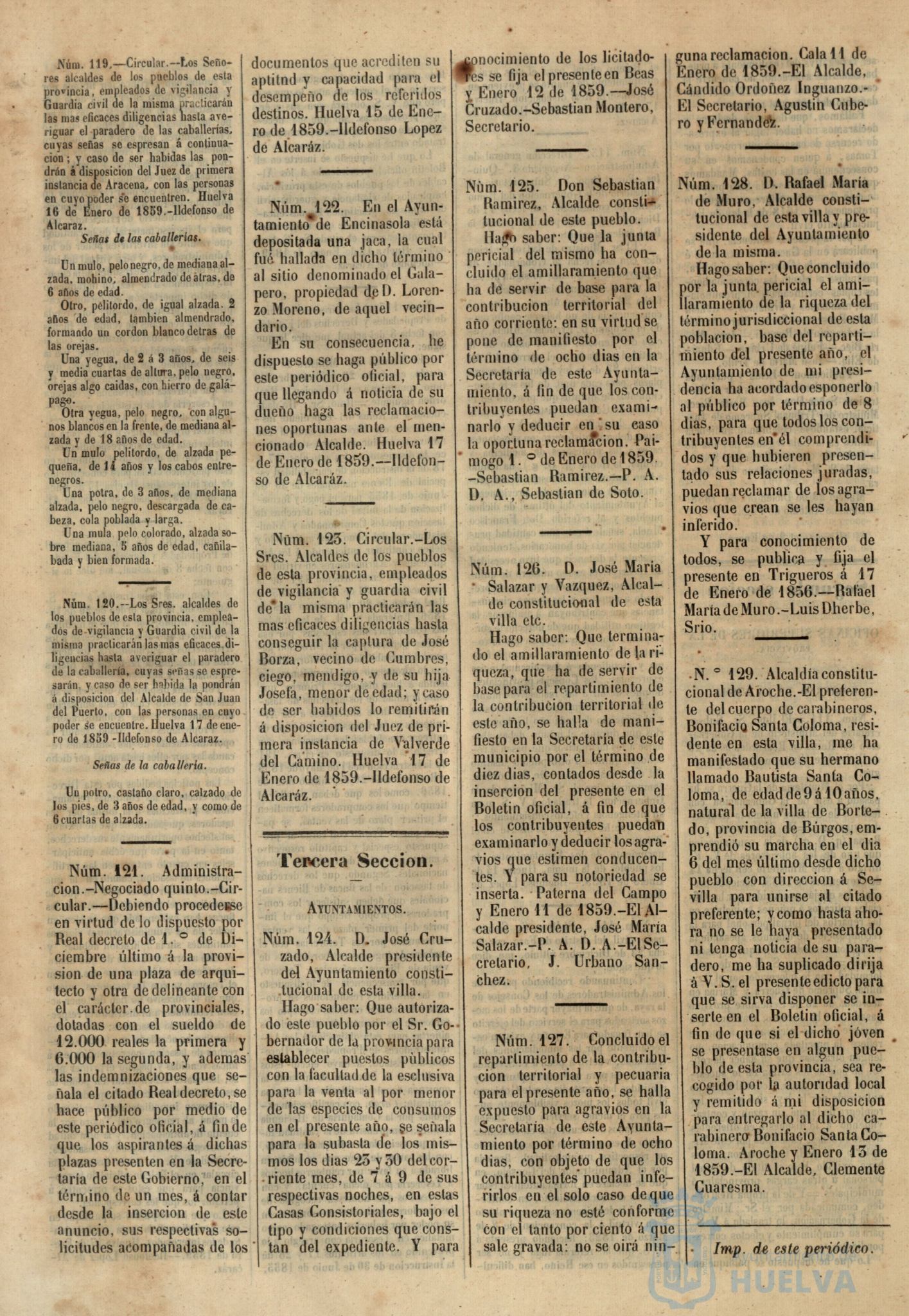 * Image 31