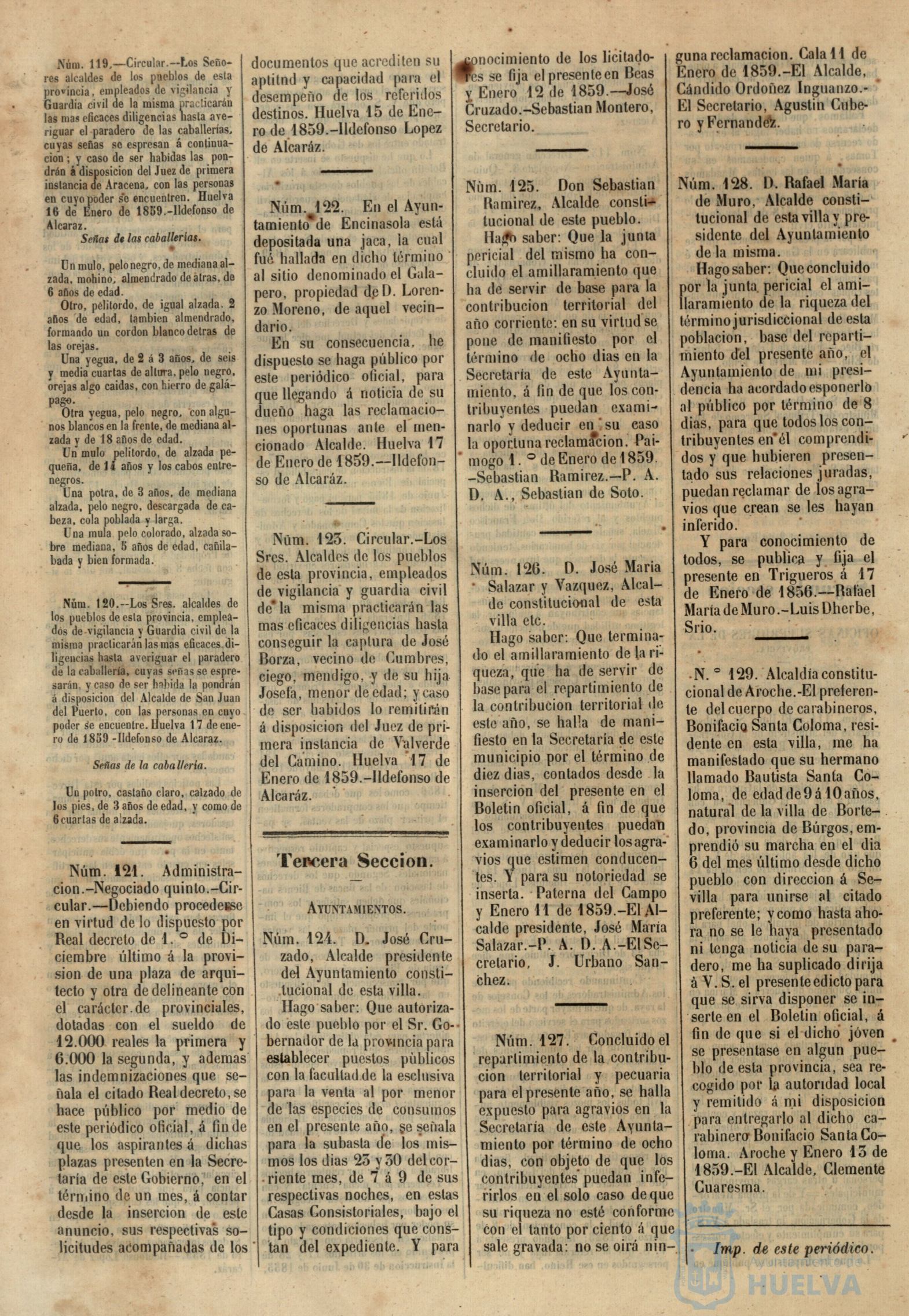 * Image 31