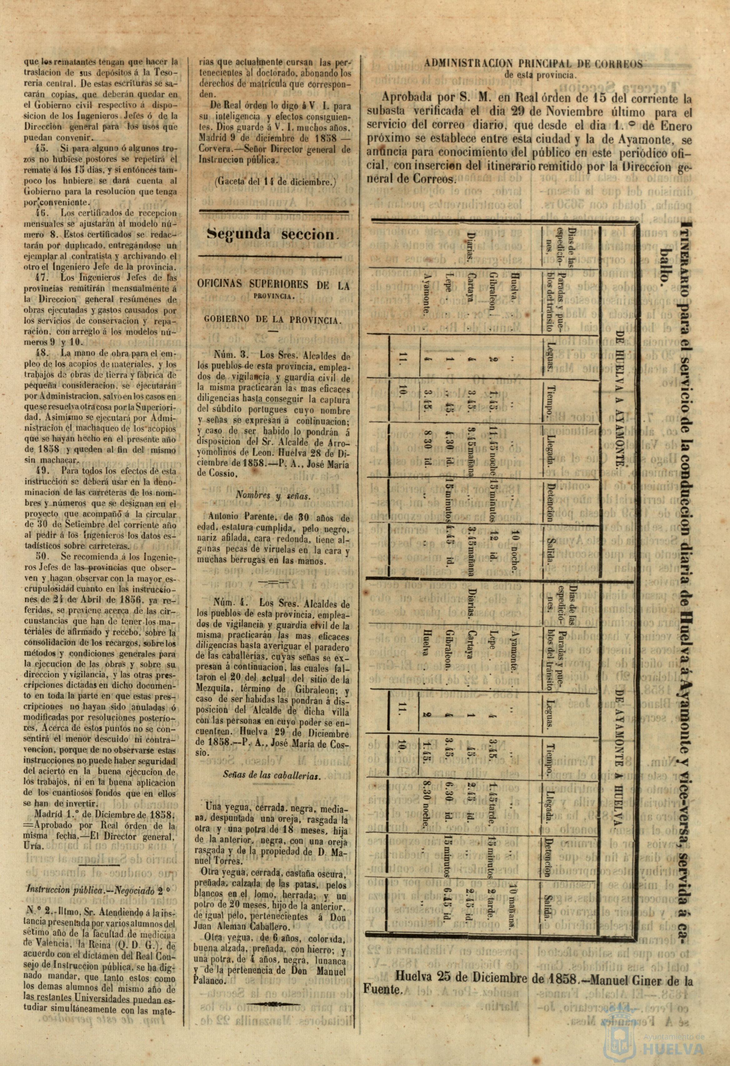 * Image 4