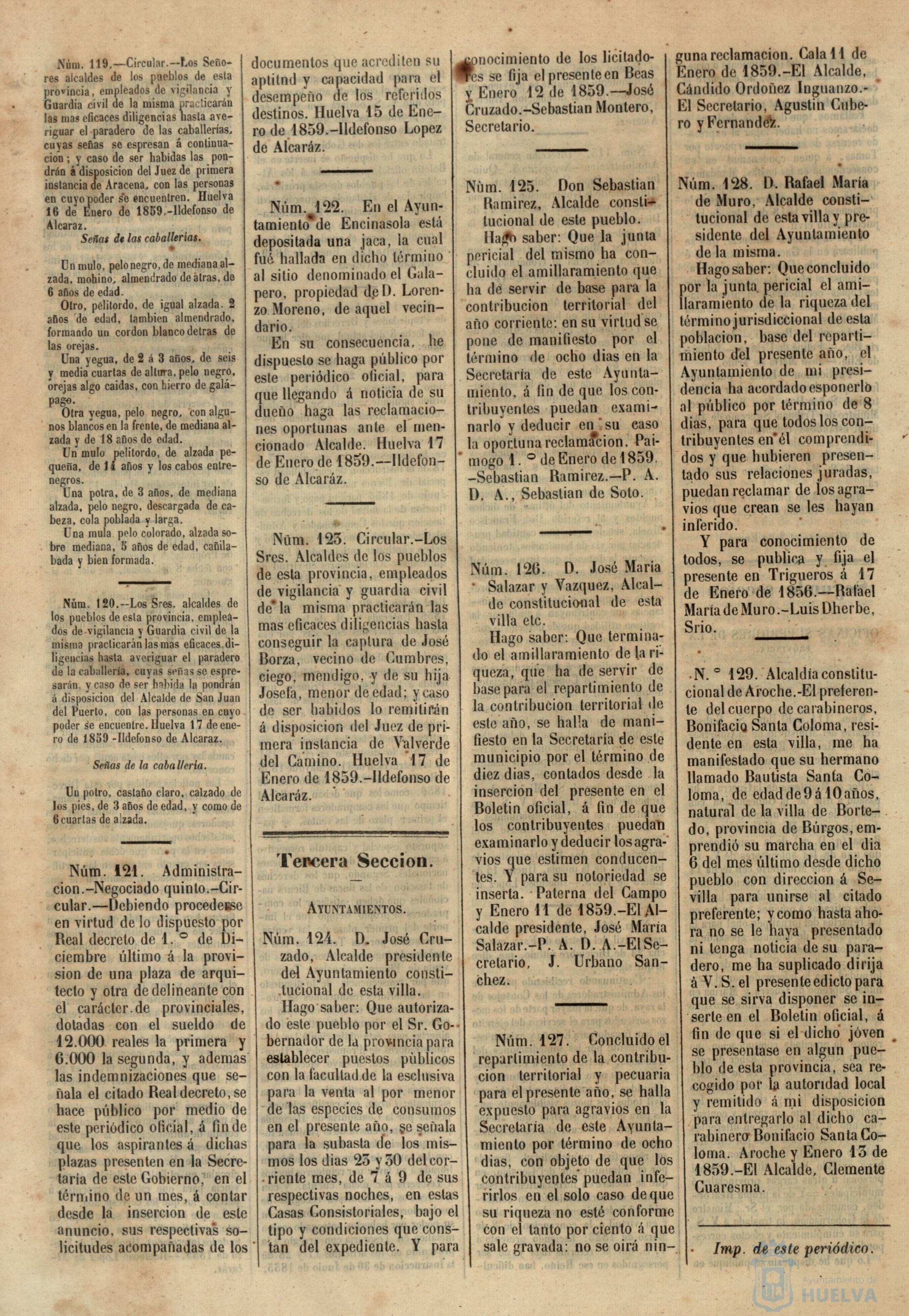 * Image 31