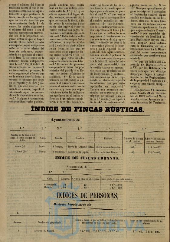 * Image 4