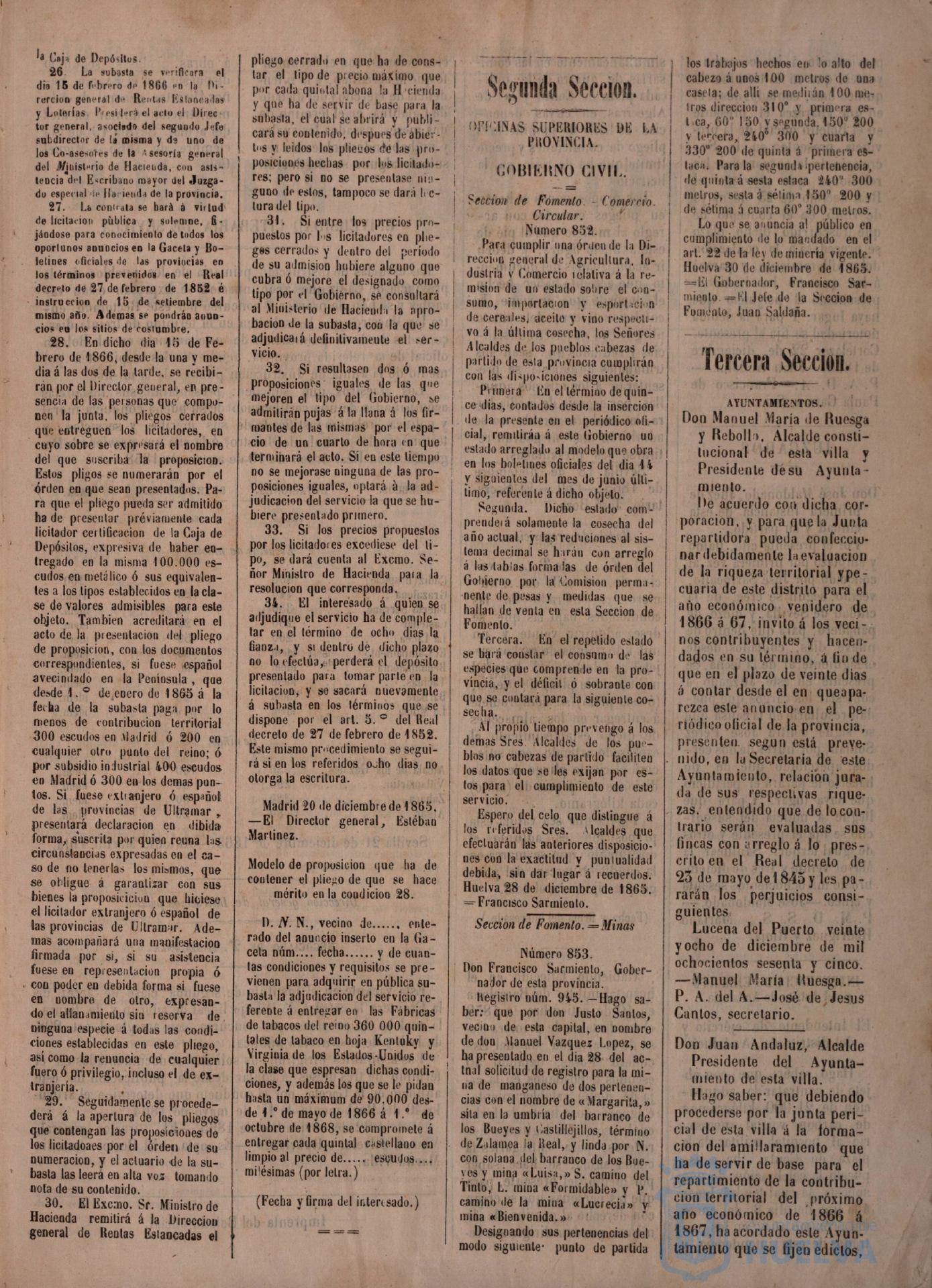 * Image 3