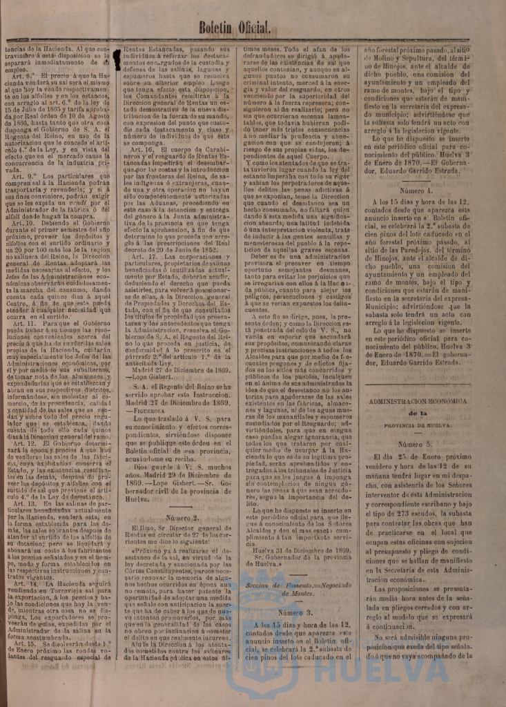 * Image 7