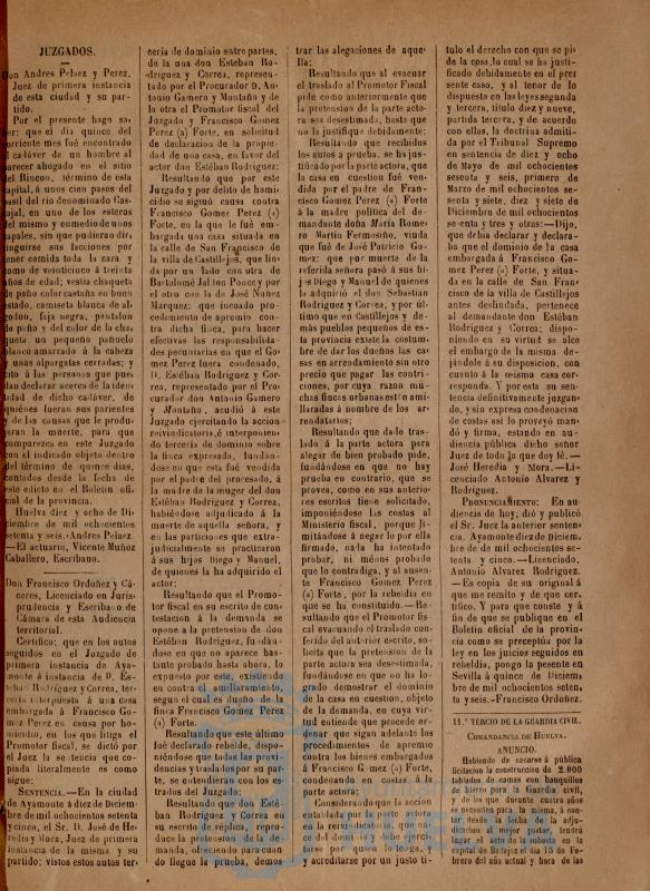* Image 43