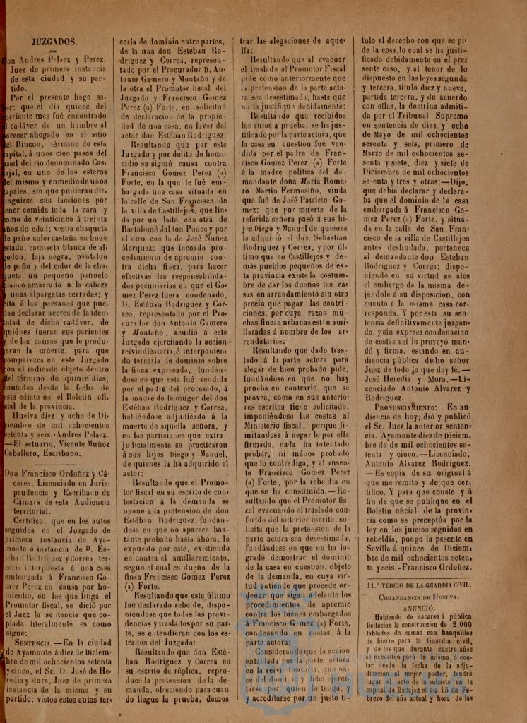 * Image 43