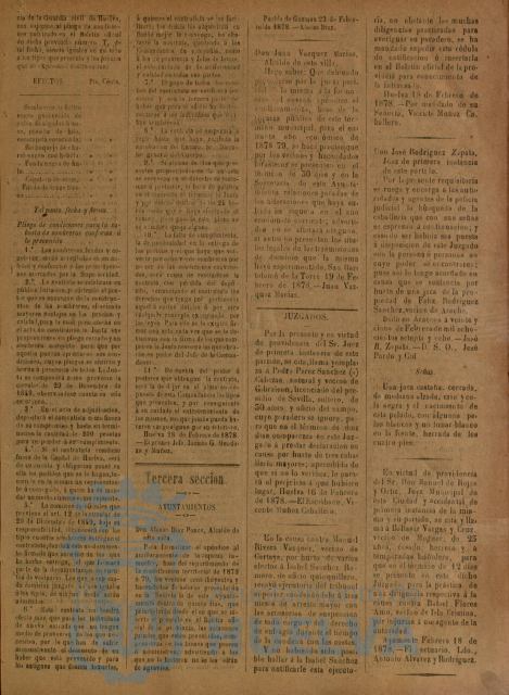 * Image 11