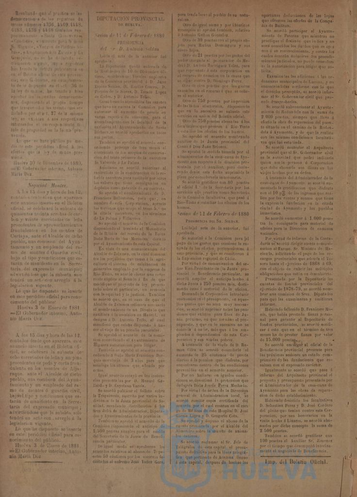 * Image 4