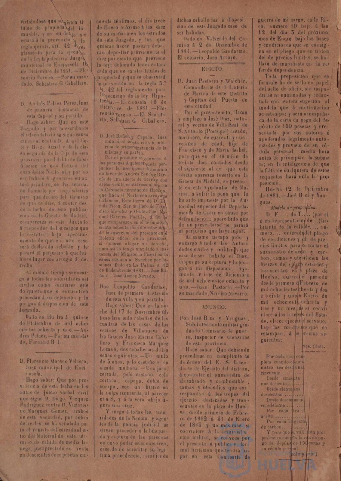 * Image 4