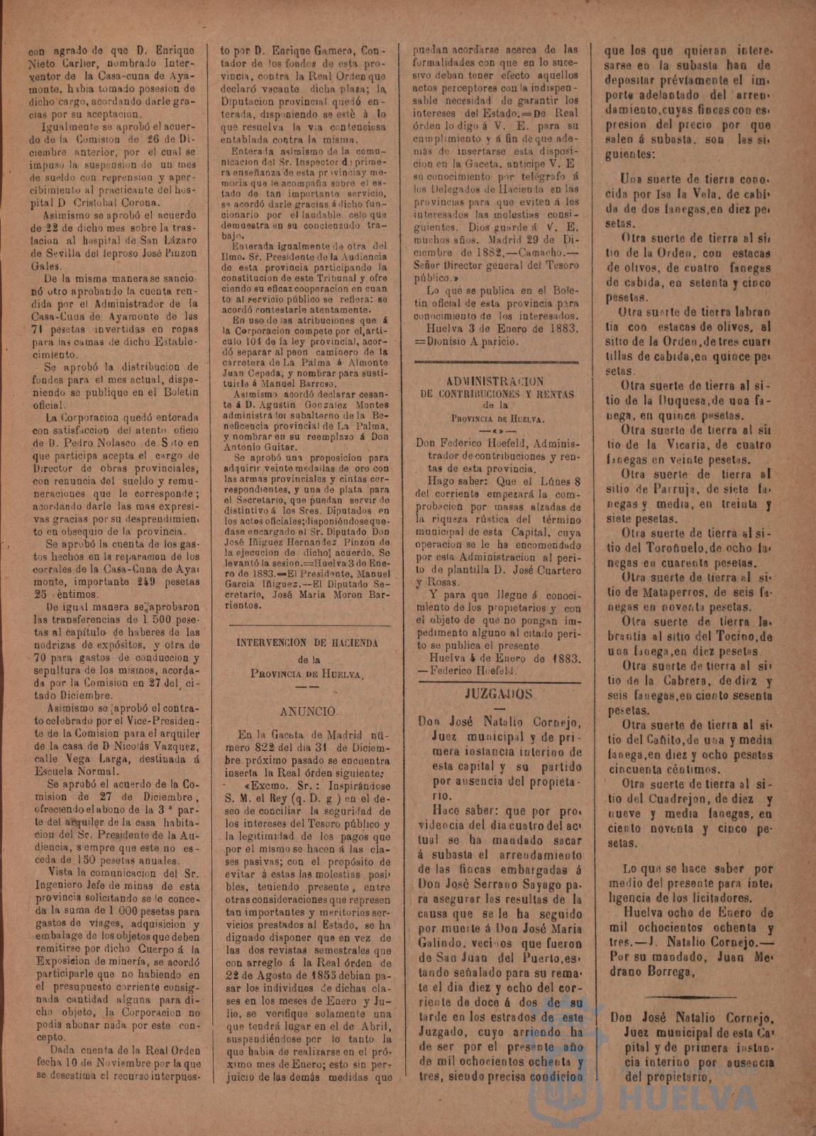 * Image 23