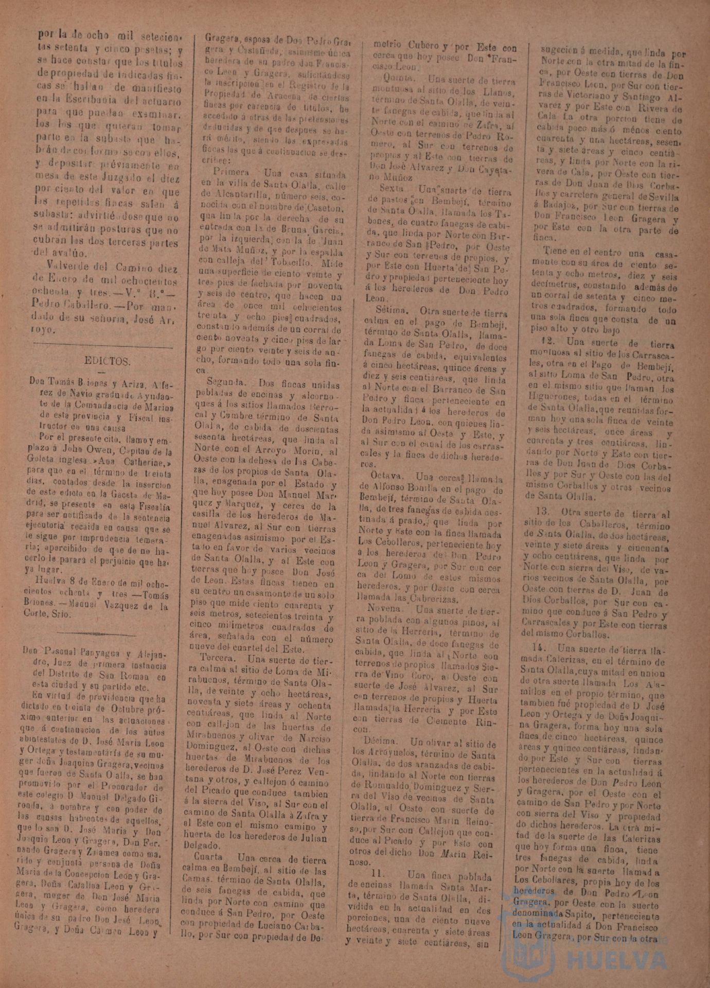 * Image 31