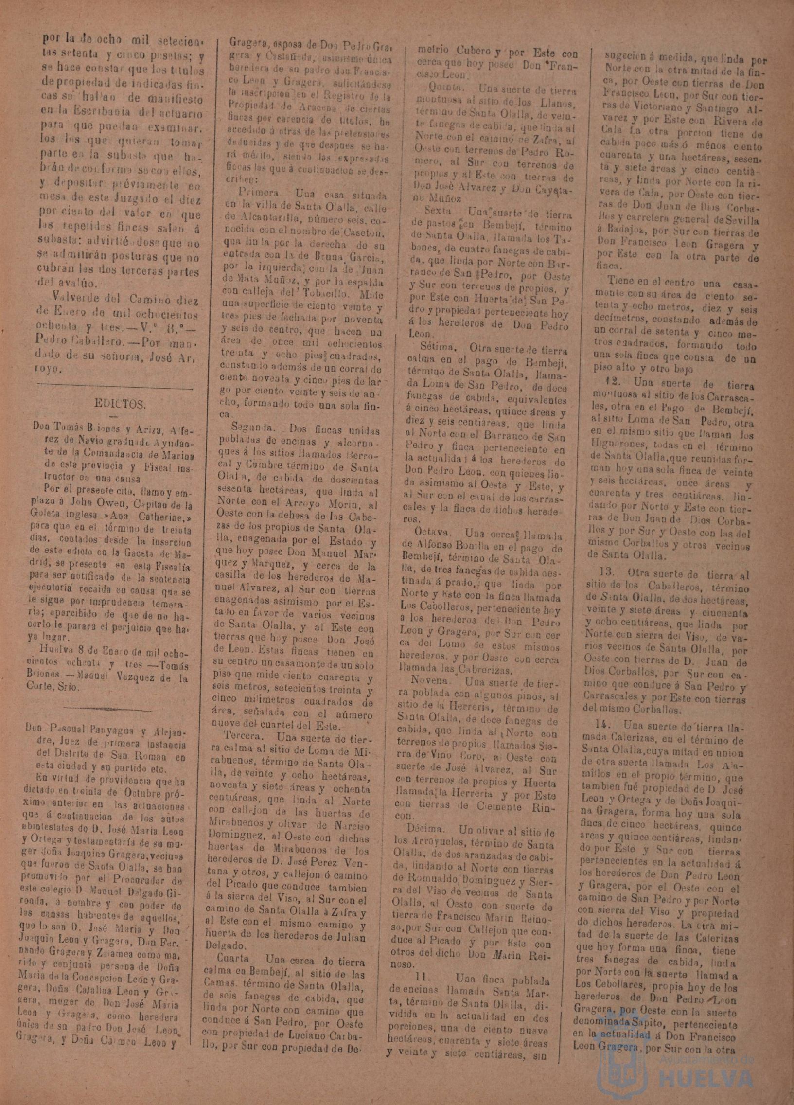 * Image 31