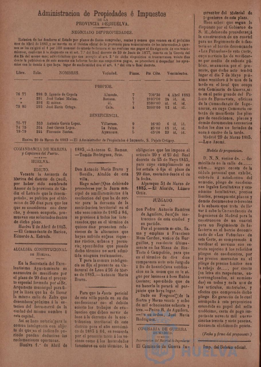 * Image 195