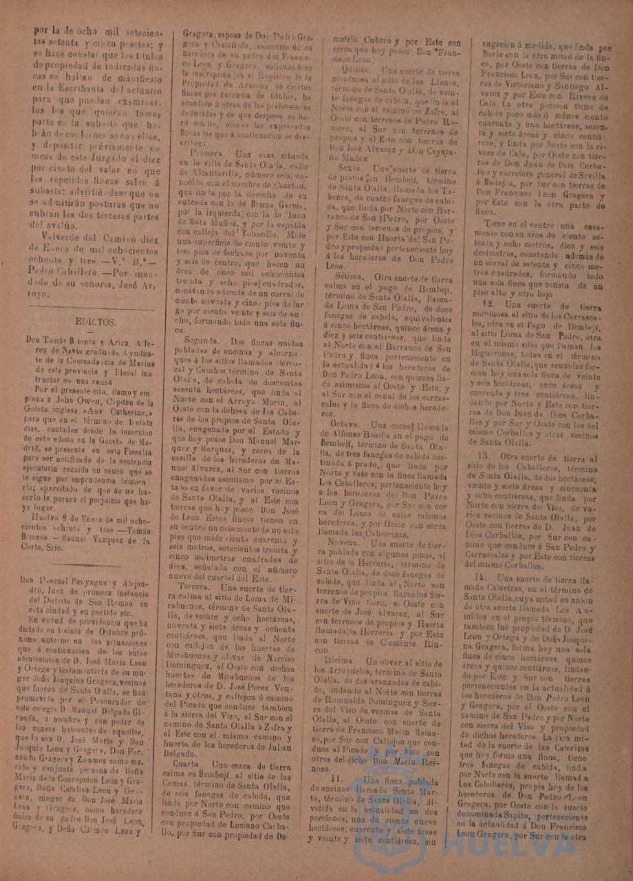 * Image 31