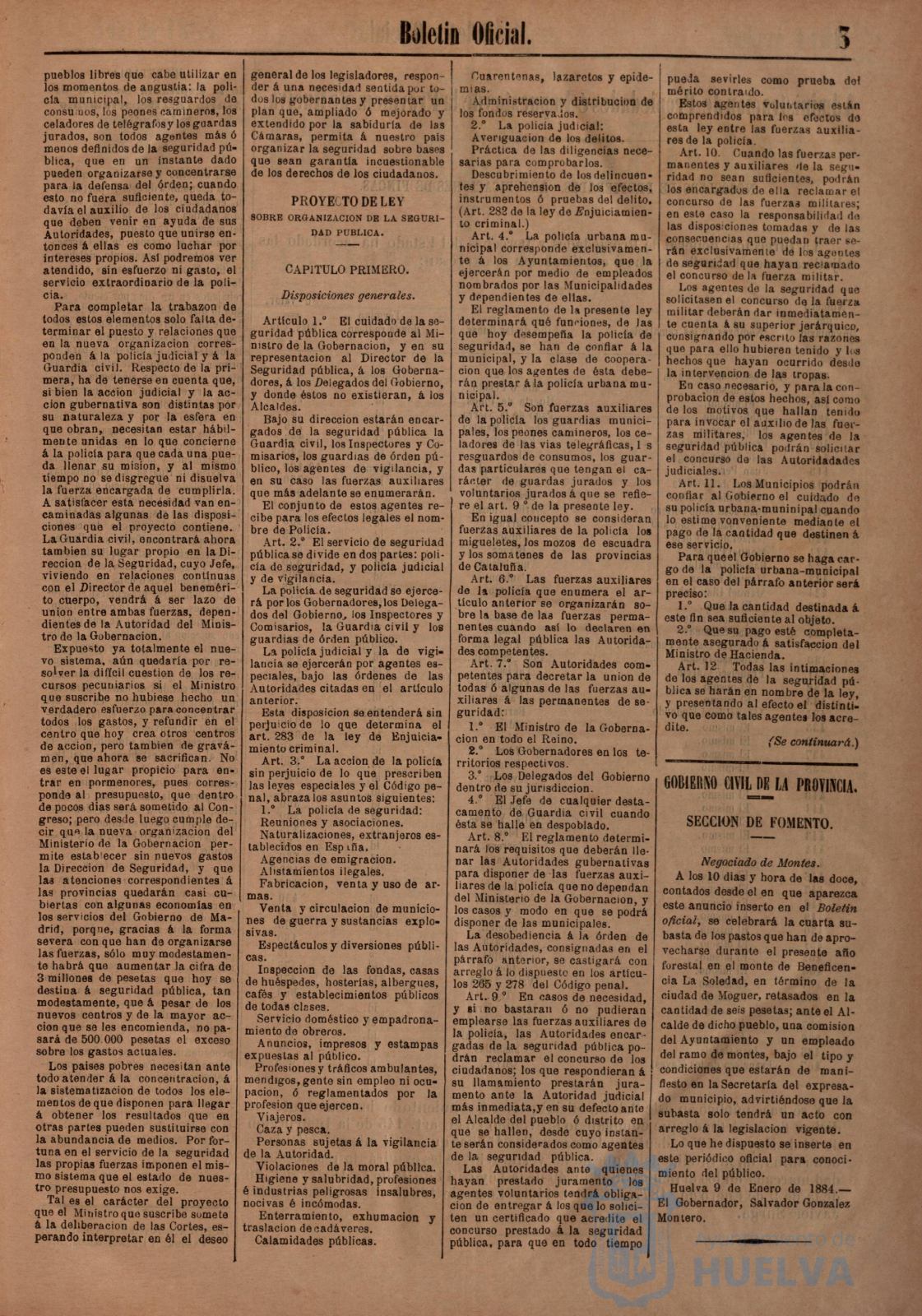 * Image 31