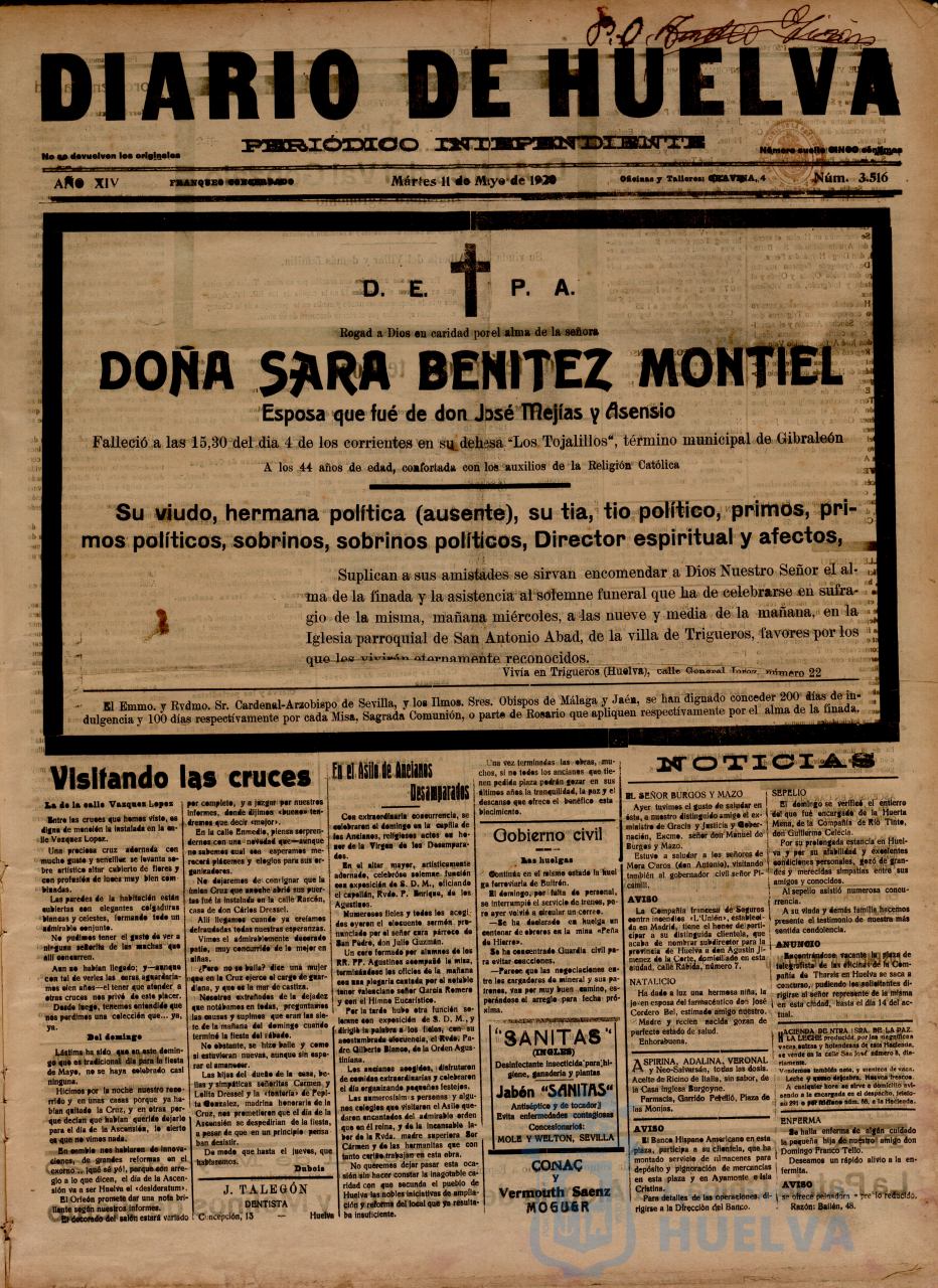 * Image 31
