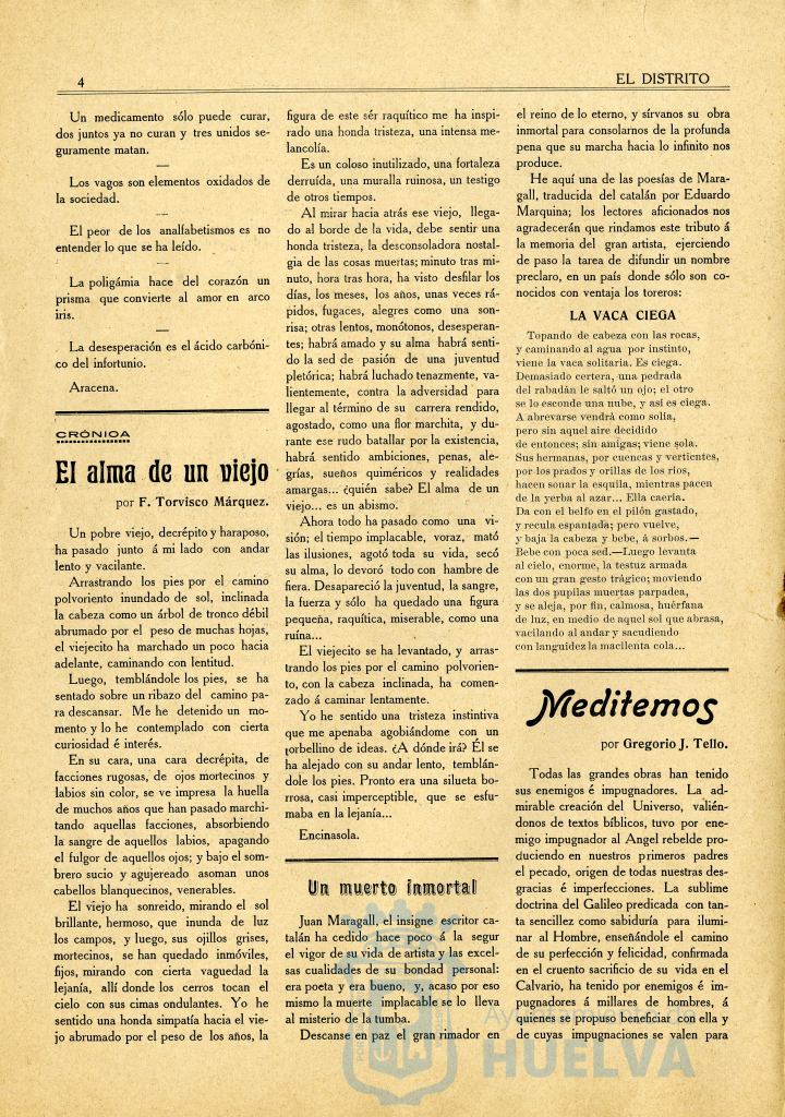 * Image 4