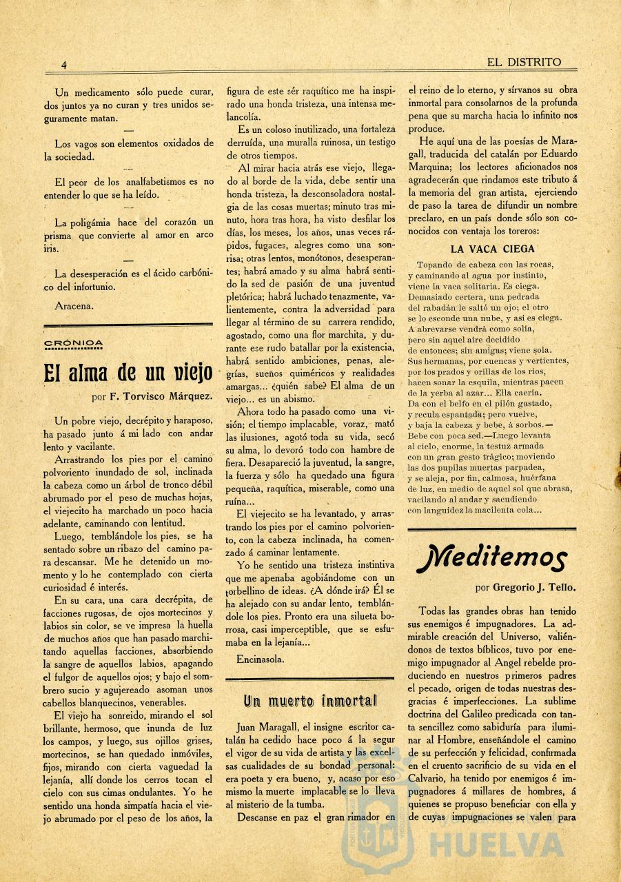 * Image 4
