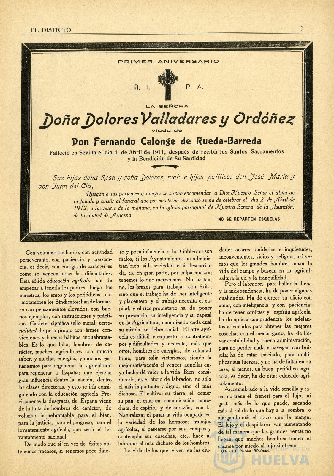 * Image 19