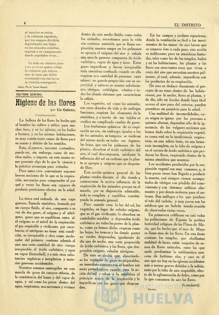 * Image 12