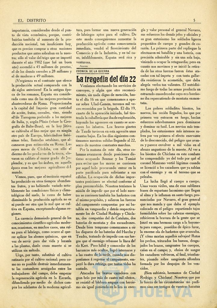 * Image 5