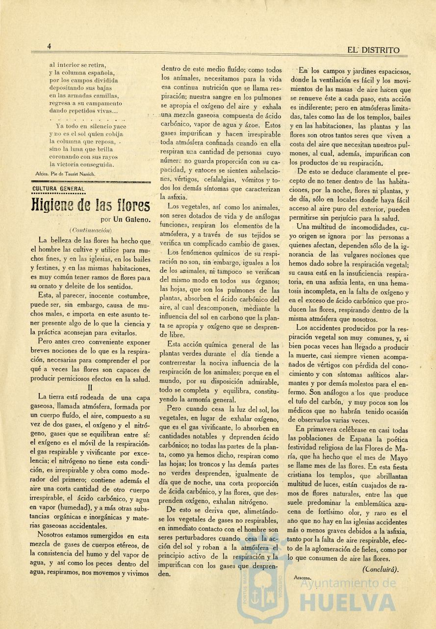 * Image 12