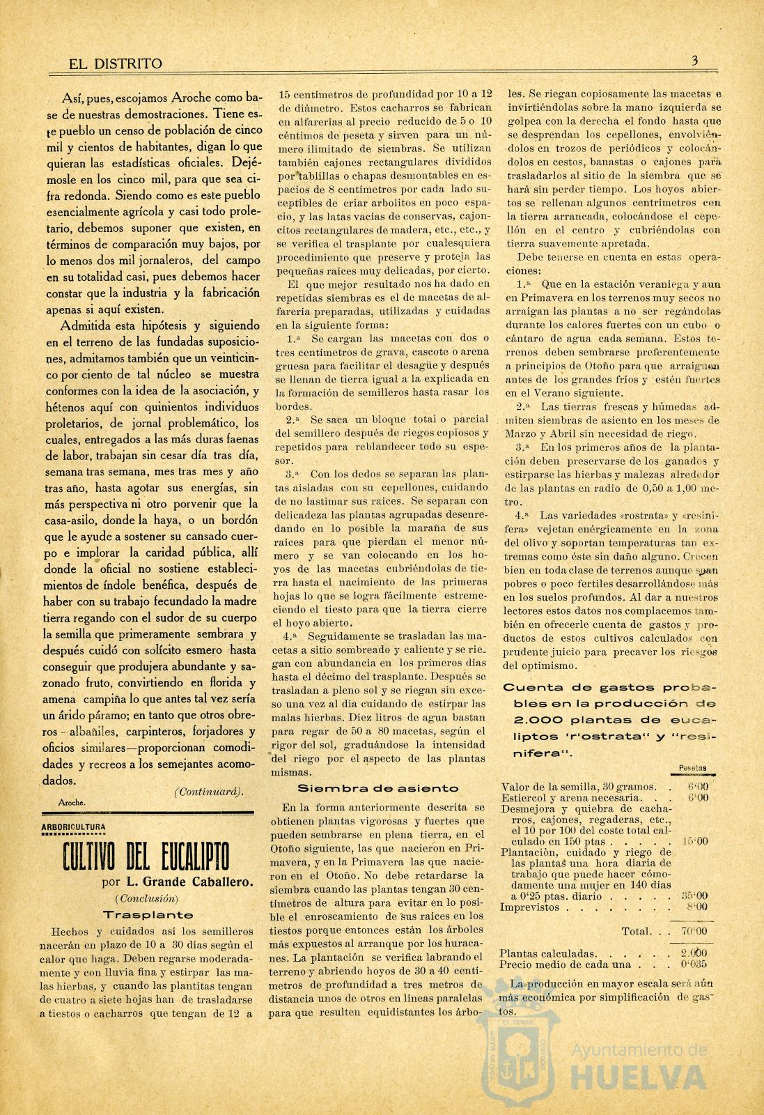 * Image 3
