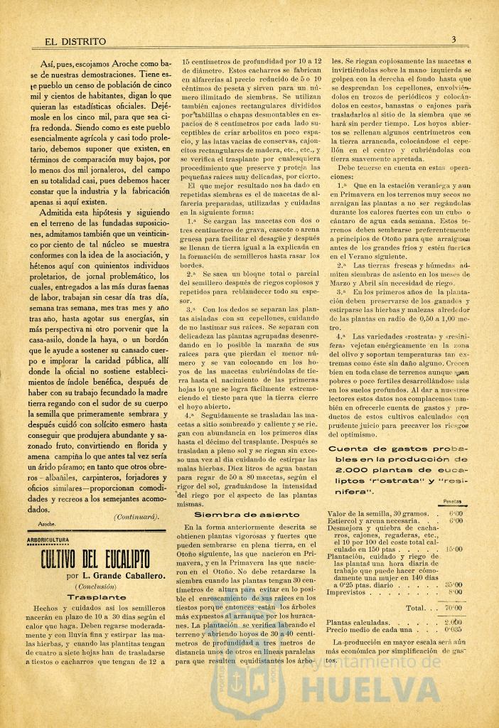 * Image 3