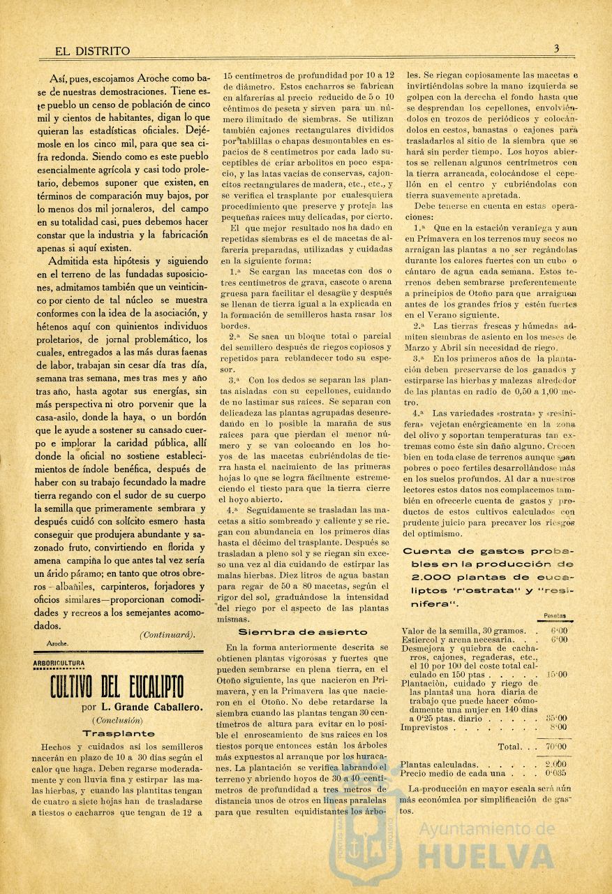 * Image 3