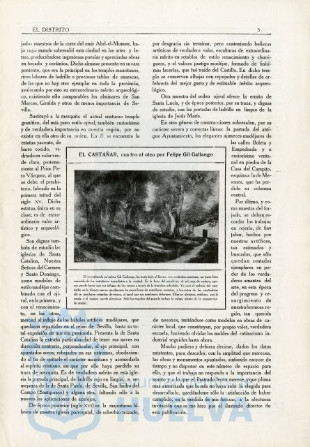 * Image 12