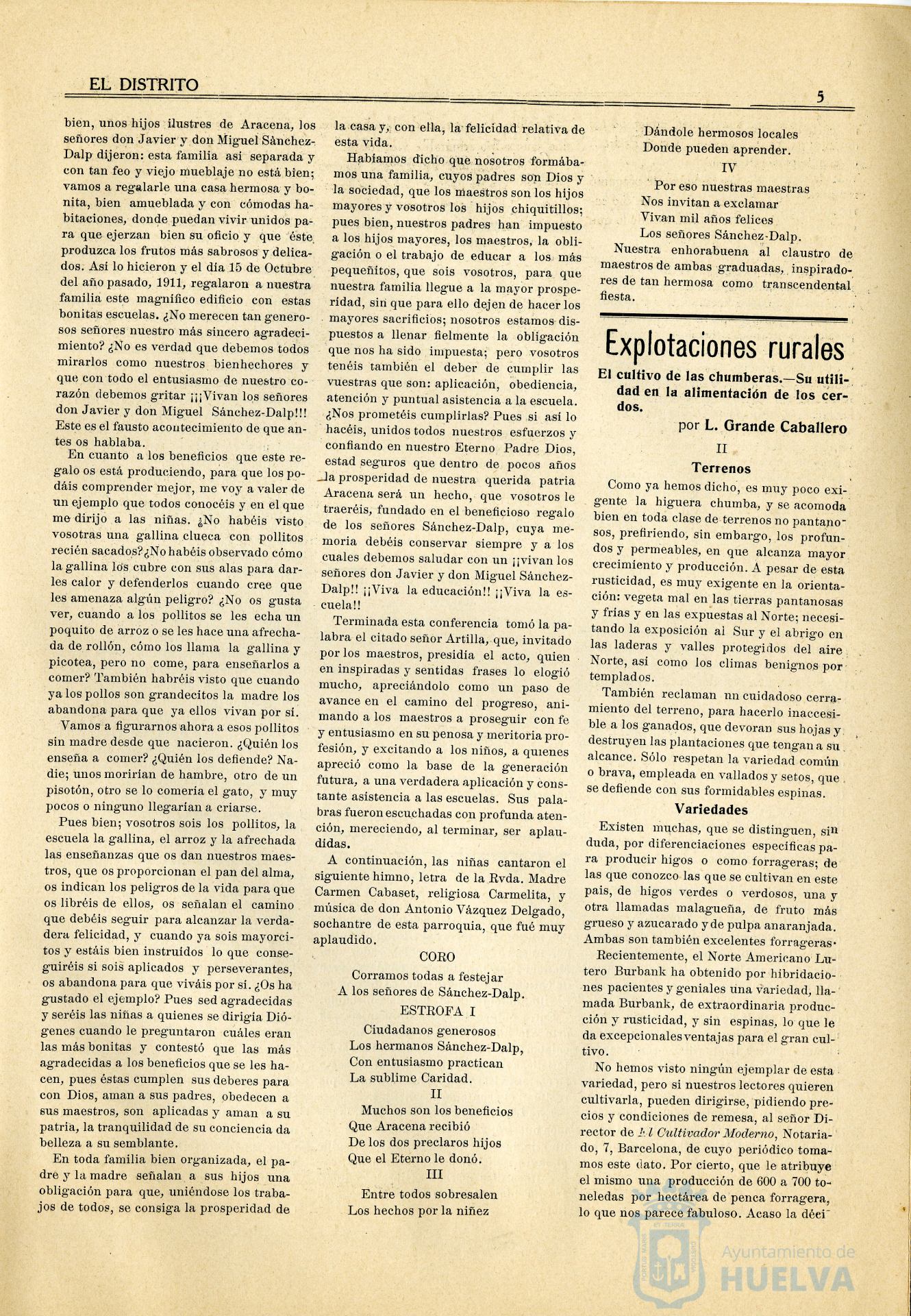 * Image 21