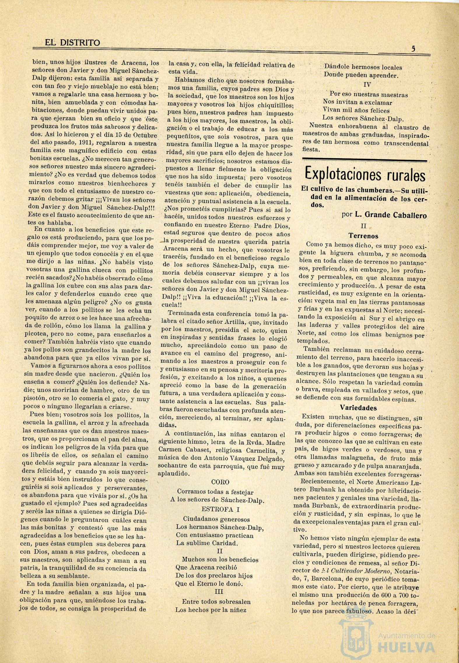* Image 21