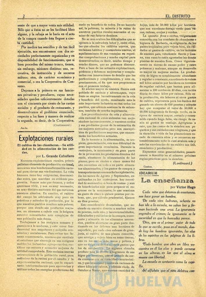 * Image 10