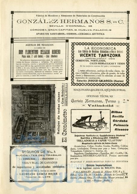 * Image 7