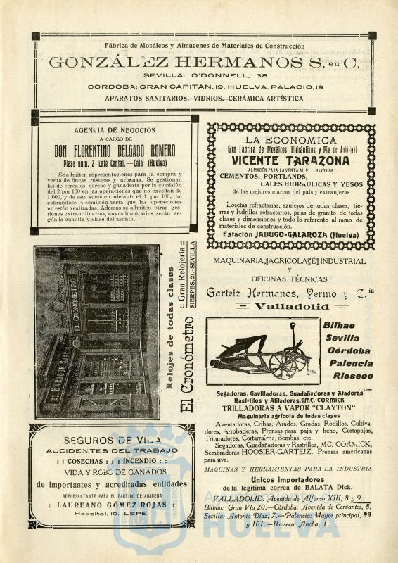 * Image 7