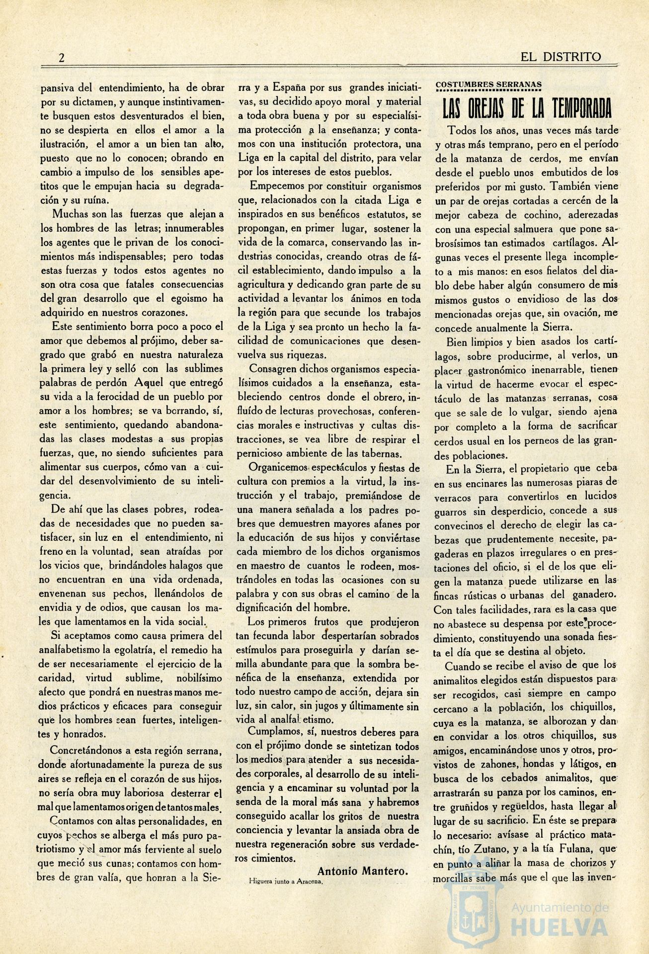 * Image 2