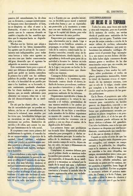* Image 2