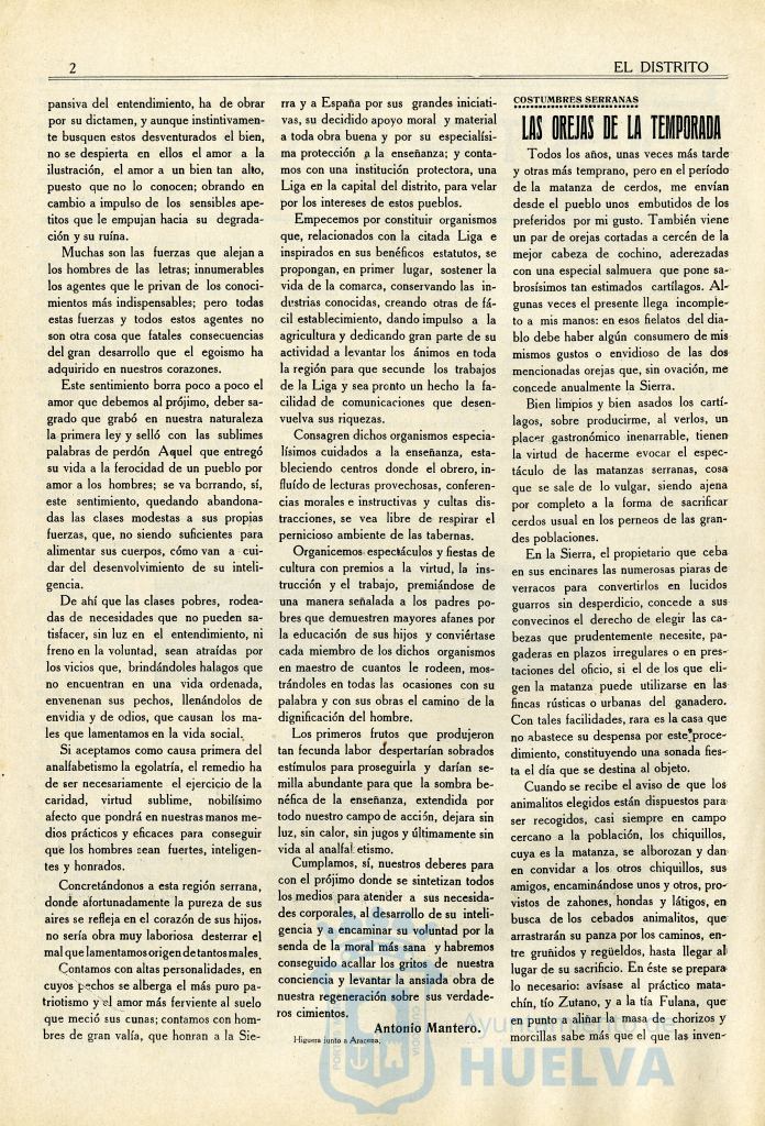 * Image 2