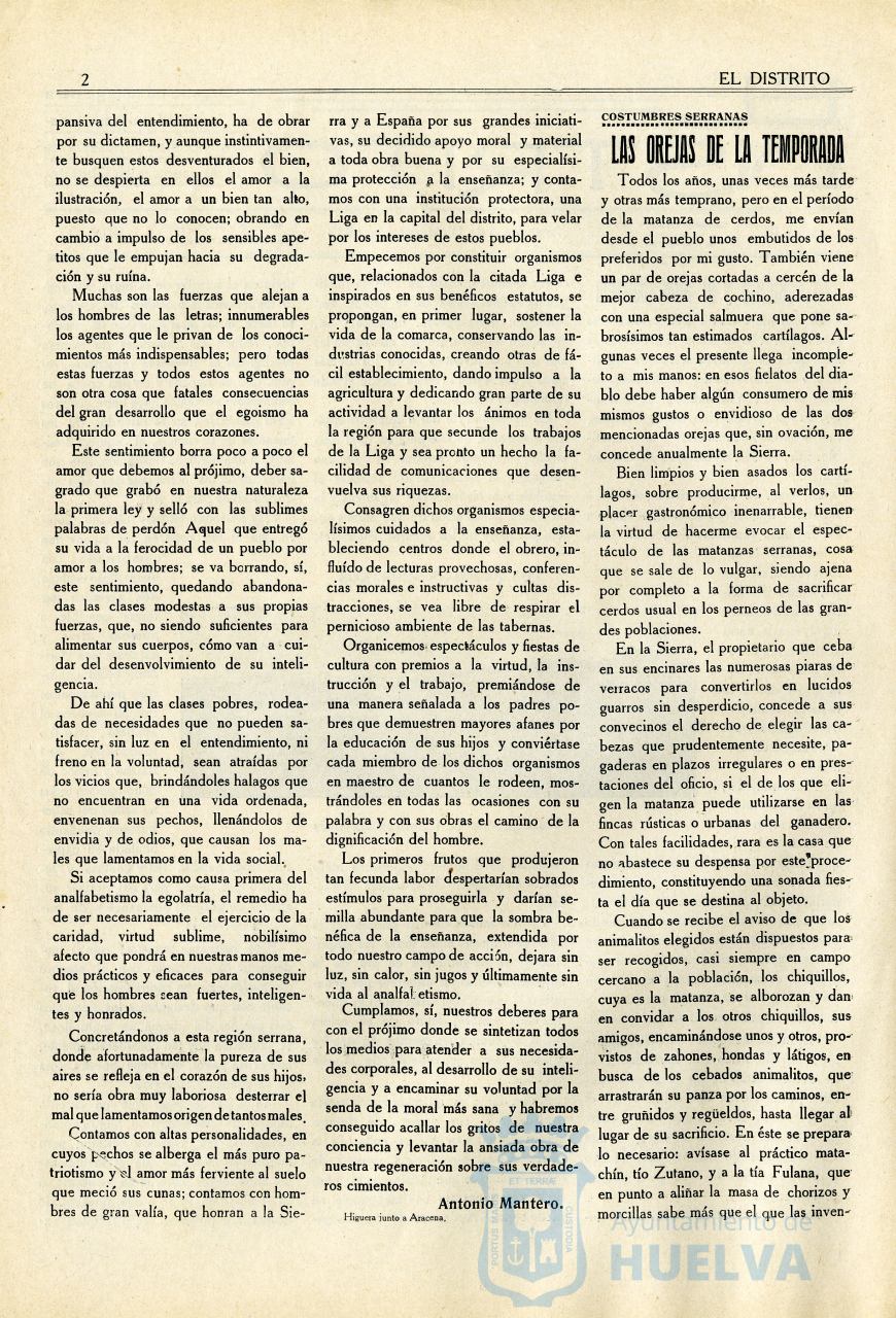 * Image 2