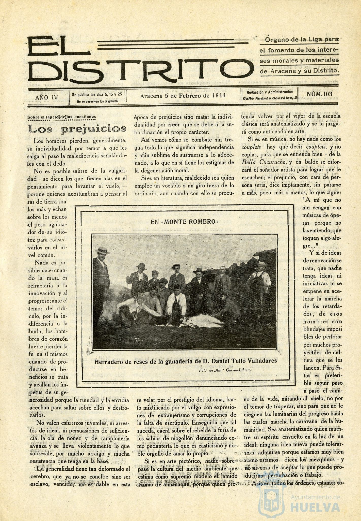 * Image 3