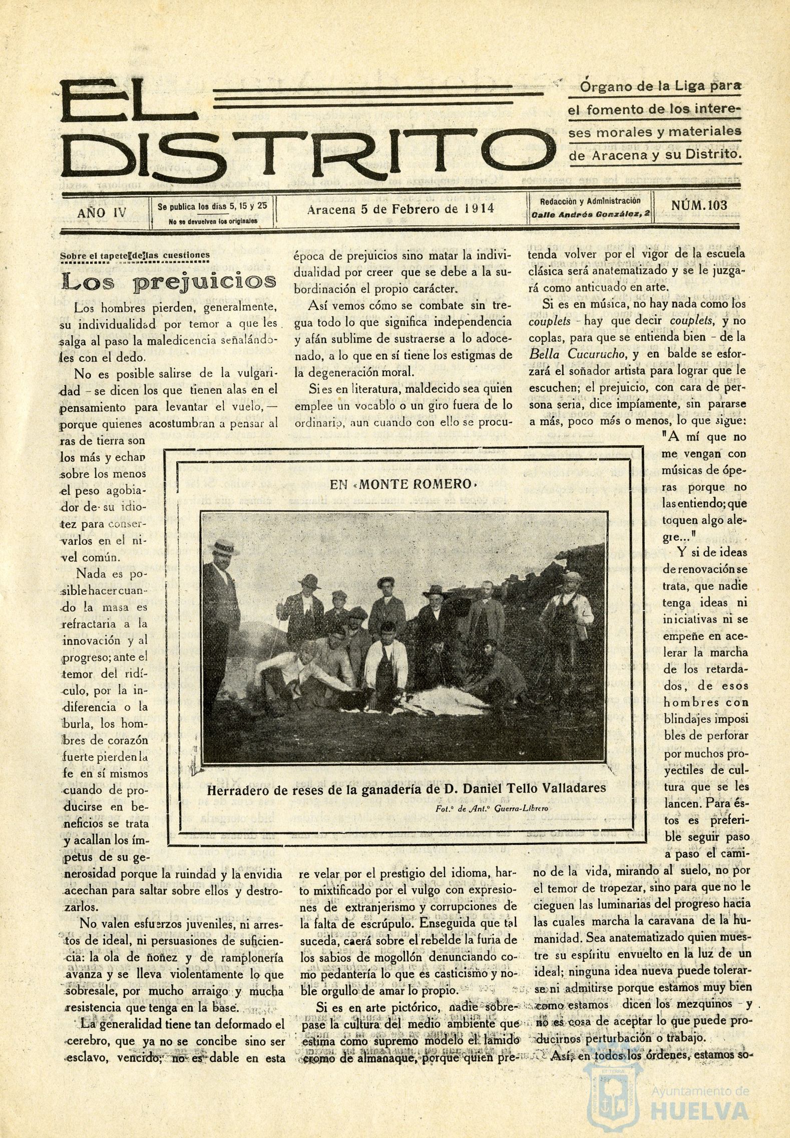 * Image 3