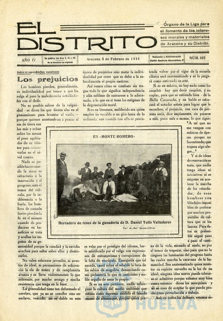 * Image 3