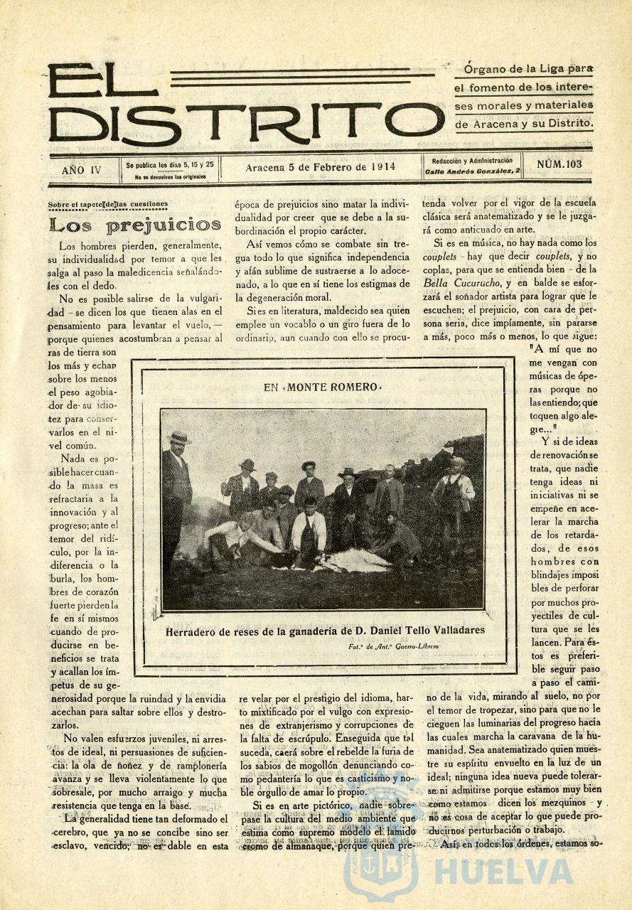* Image 3