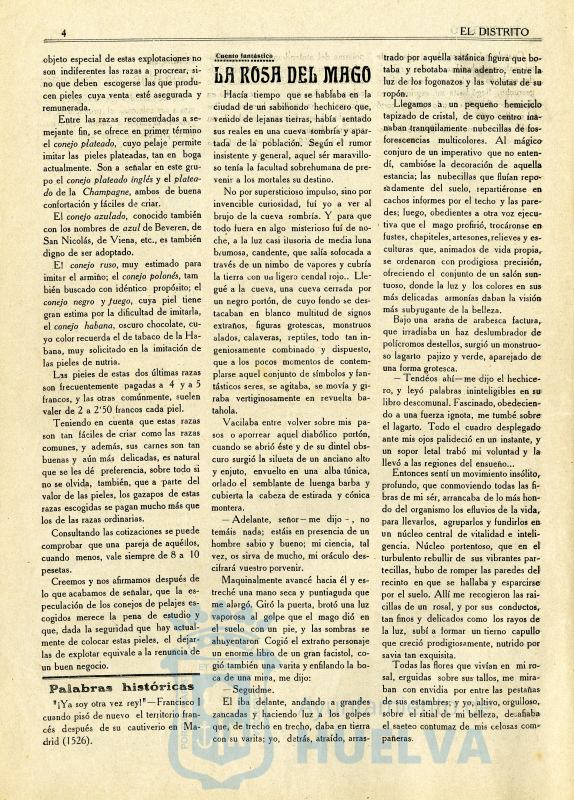 * Image 6