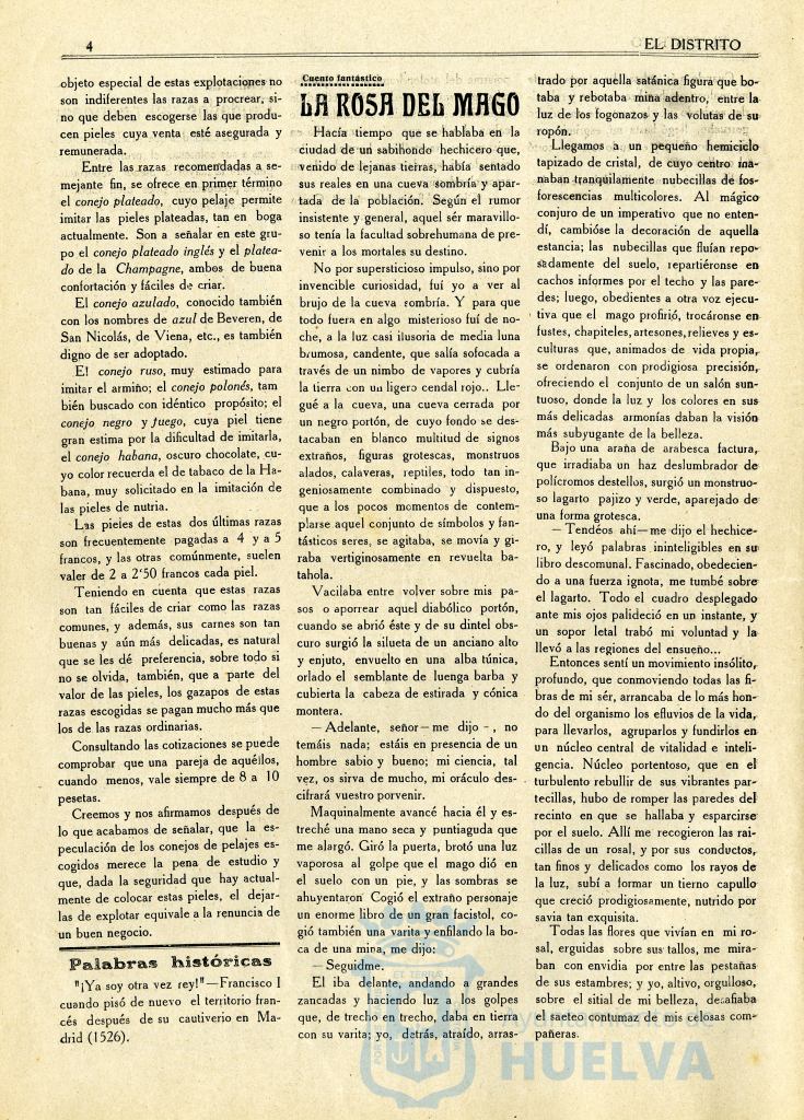 * Image 6
